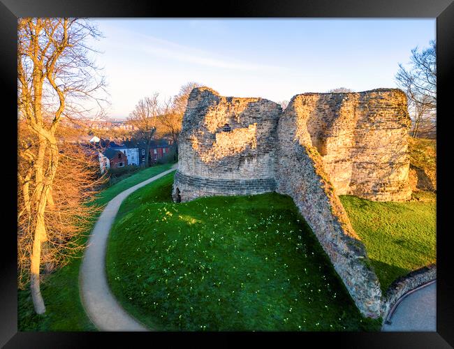 Pontefract Castle ~ Spring Daffodils  Framed Print by Tim Hill