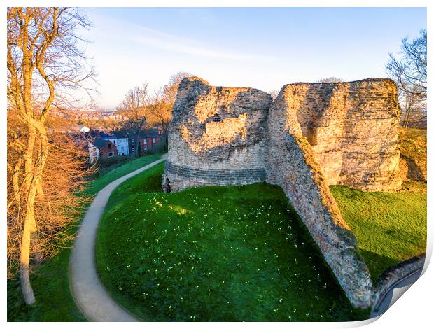 Pontefract Castle ~ Spring Daffodils  Print by Tim Hill