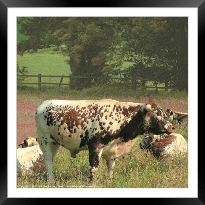 Resting in the Meadow Framed Mounted Print by Charlotte Radford