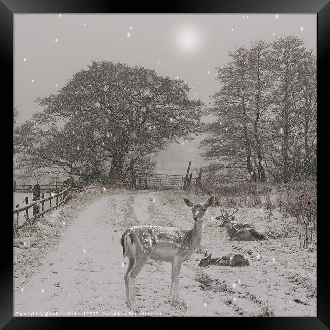 Sleepy Deer on a Winters Day Framed Print by Charlotte Radford