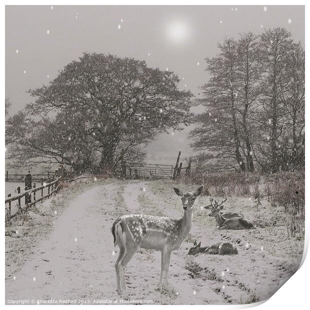 Sleepy Deer on a Winters Day Print by Charlotte Radford