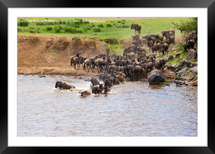 Wildebeest dodging Crocodile as they cross the Mara River during the Great Migration Framed Mounted Print by Howard Kennedy