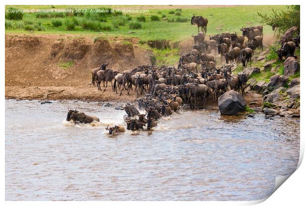 Wildebeest dodging Crocodile as they cross the Mara River during the Great Migration Print by Howard Kennedy