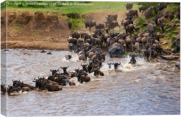 Wildebeest dodging Crocodiles whilst crossing the Mara River during the Great Migration Canvas Print by Howard Kennedy