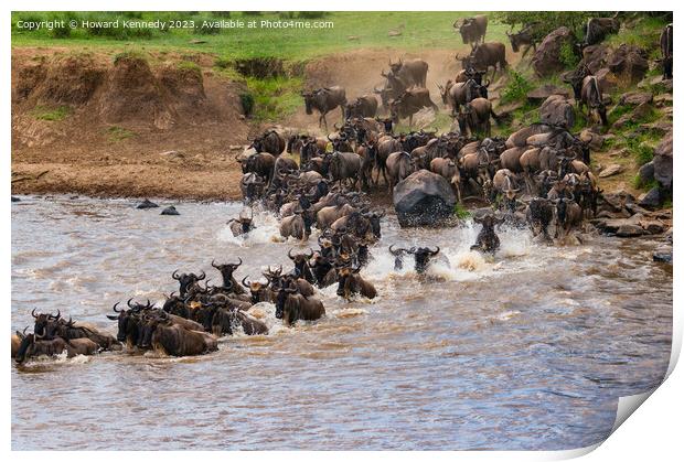 Wildebeest dodging Crocodiles whilst crossing the Mara River during the Great Migration Print by Howard Kennedy
