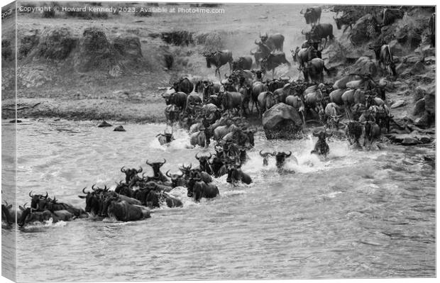 Wildebeest dodging Crocodiles whilst crossing the Mara River during the Great Migration in black and white Canvas Print by Howard Kennedy