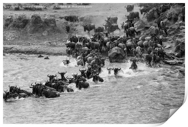 Wildebeest dodging Crocodiles whilst crossing the Mara River during the Great Migration in black and white Print by Howard Kennedy