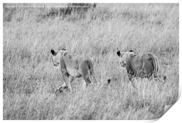 Lionesses setting out on a hunt in black and white Print by Howard Kennedy