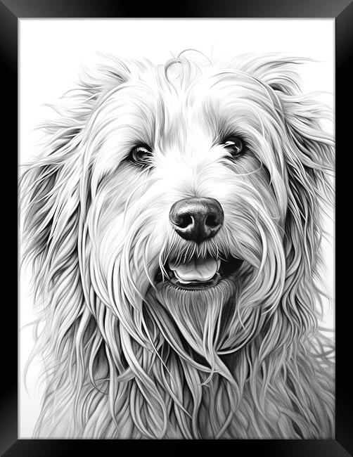 Bergamasco Sheepdog Pencil Drawing Framed Print by K9 Art