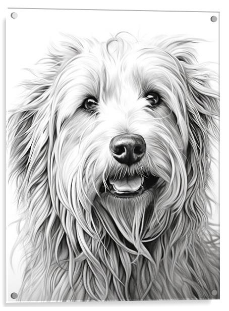 Bergamasco Sheepdog Pencil Drawing Acrylic by K9 Art