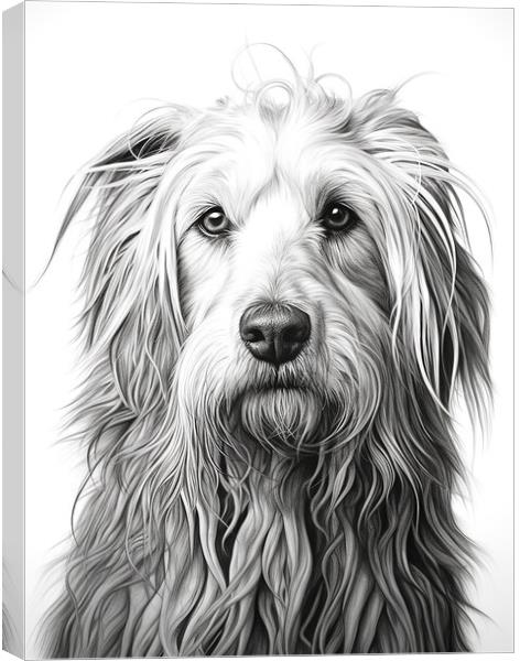 Bergamasco Sheepdog Pencil Drawing Canvas Print by K9 Art