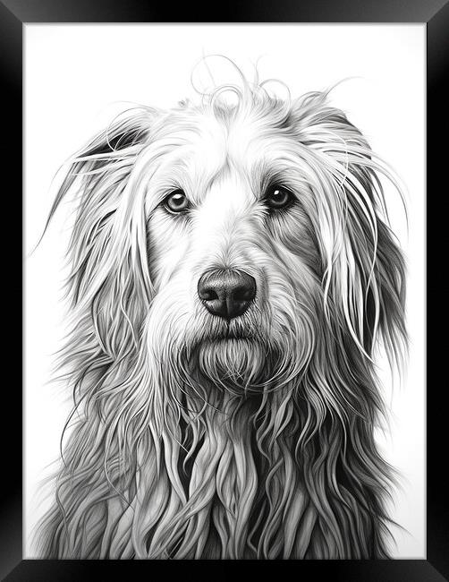 Bergamasco Sheepdog Pencil Drawing Framed Print by K9 Art