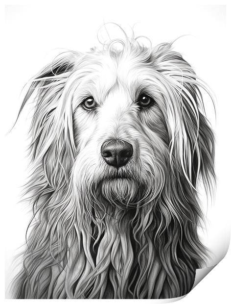Bergamasco Sheepdog Pencil Drawing Print by K9 Art