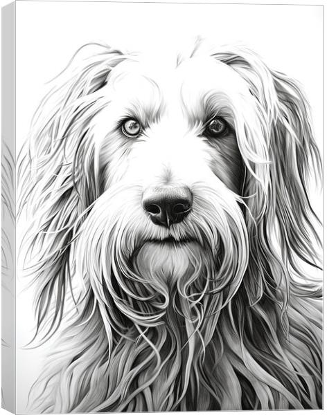Bergamasco Sheepdog Pencil Drawing Canvas Print by K9 Art