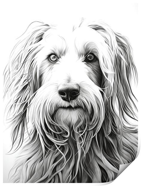 Bergamasco Sheepdog Pencil Drawing Print by K9 Art