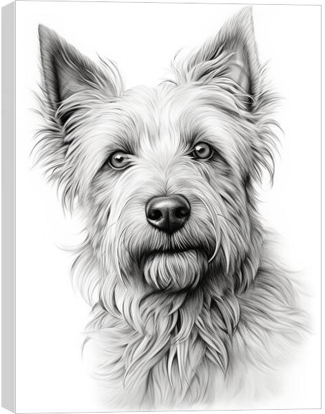 Berger Picard Pencil Drawing Canvas Print by K9 Art