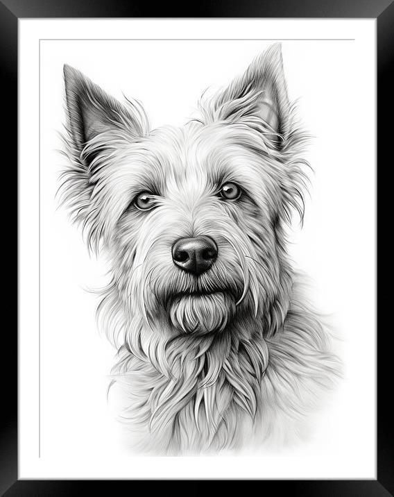 Berger Picard Pencil Drawing Framed Mounted Print by K9 Art