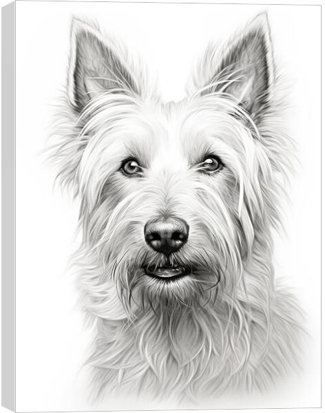 Berger Picard Pencil Drawing Canvas Print by K9 Art