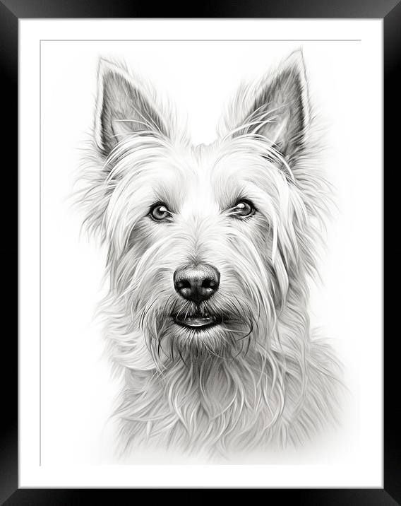 Berger Picard Pencil Drawing Framed Mounted Print by K9 Art