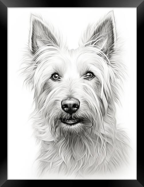 Berger Picard Pencil Drawing Framed Print by K9 Art