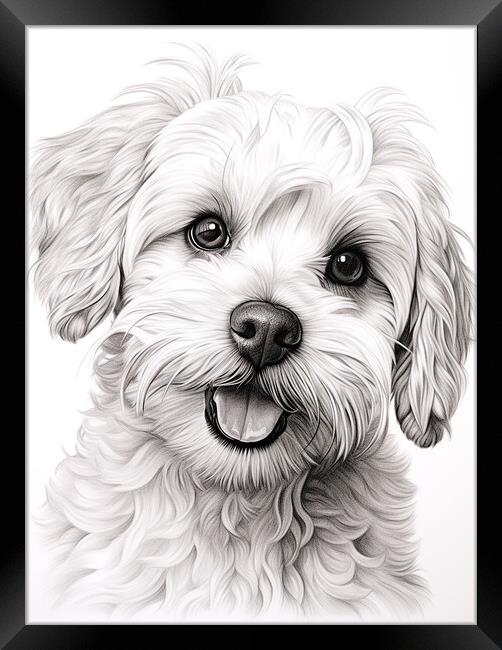 Bichon Frise Pencil Drawing Framed Print by K9 Art