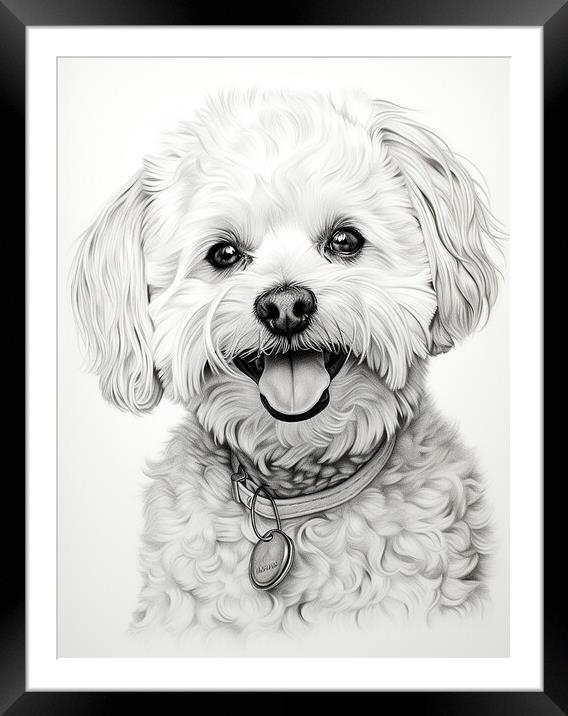 Bichon Frise Pencil Drawing Framed Mounted Print by K9 Art