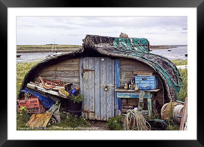 The Boat Shed Framed Mounted Print by Lynne Morris (Lswpp)