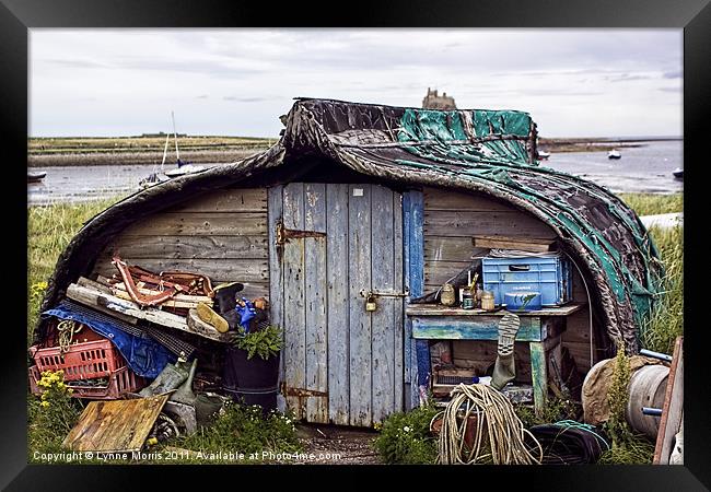 The Boat Shed Framed Print by Lynne Morris (Lswpp)