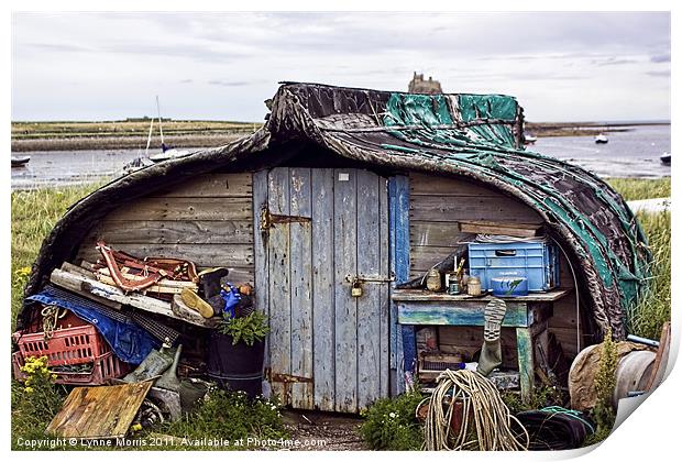 The Boat Shed Print by Lynne Morris (Lswpp)