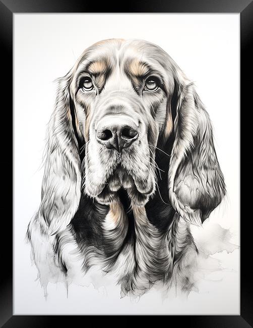 Bloodhound Pencil Drawing Framed Print by K9 Art