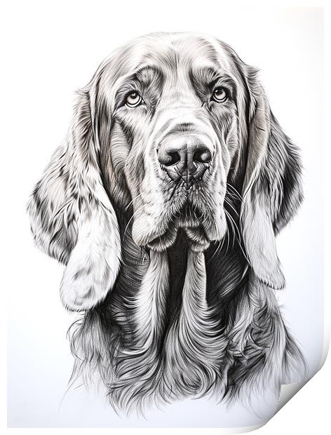 Bloodhound Pencil Drawing Print by K9 Art