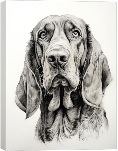 Bloodhound Pencil Drawing Canvas Print by K9 Art