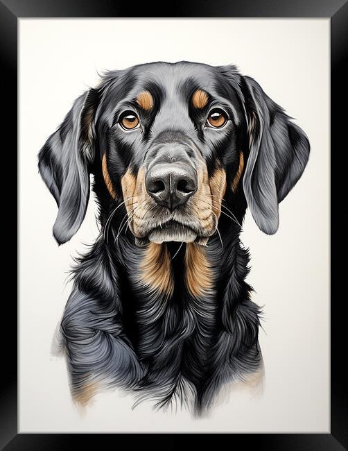 Black And Tan Coonhound Pencil Drawing Framed Print by K9 Art
