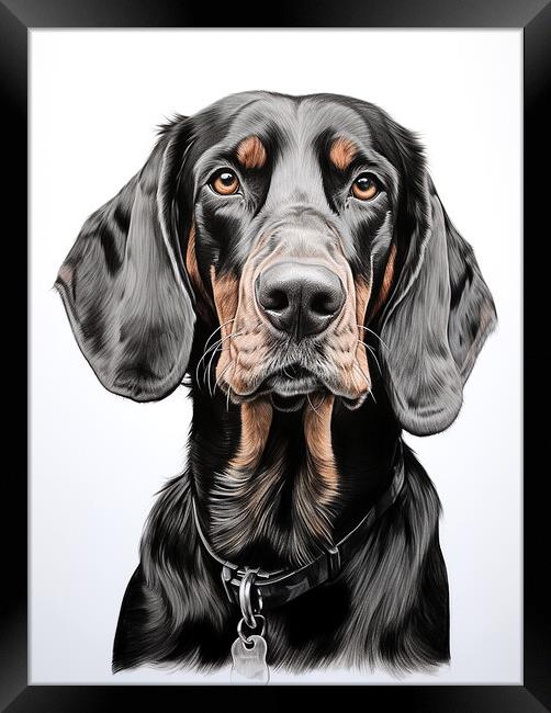 Black And Tan Coonhound Pencil Drawing Framed Print by K9 Art