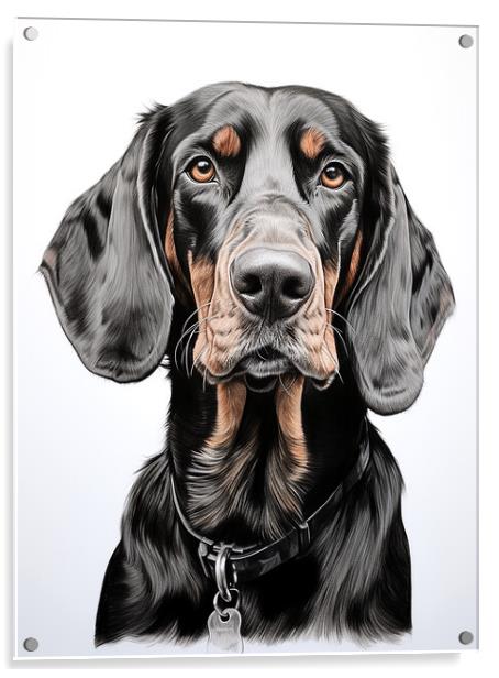 Black And Tan Coonhound Pencil Drawing Acrylic by K9 Art