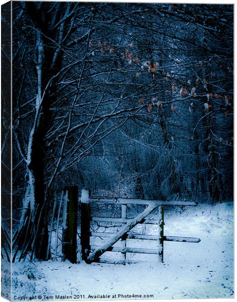 The Gate Canvas Print by Tom Maslen
