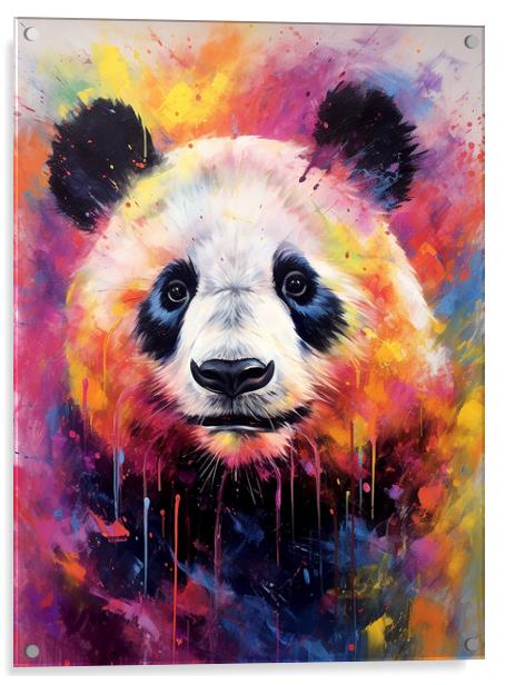 Giant Panda Portrait Acrylic by Steve Smith