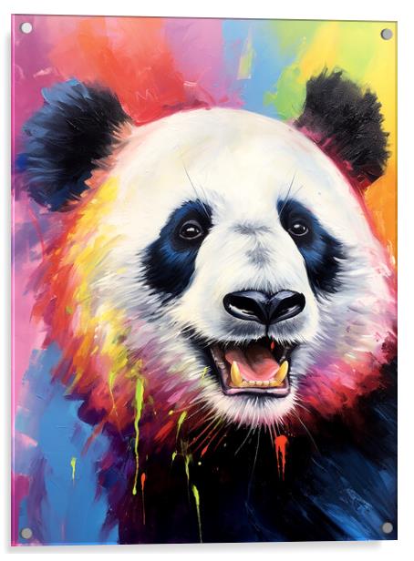 Giant Panda Portrait Acrylic by Steve Smith