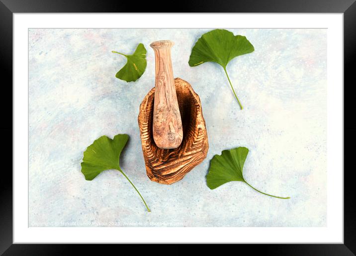 Ginkgo biloba leaves, medicines. Framed Mounted Print by Mykola Lunov Mykola