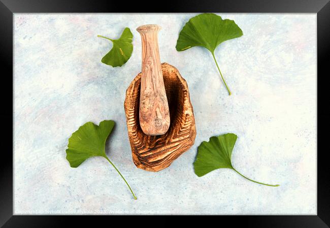 Ginkgo biloba leaves, medicines. Framed Print by Mykola Lunov Mykola