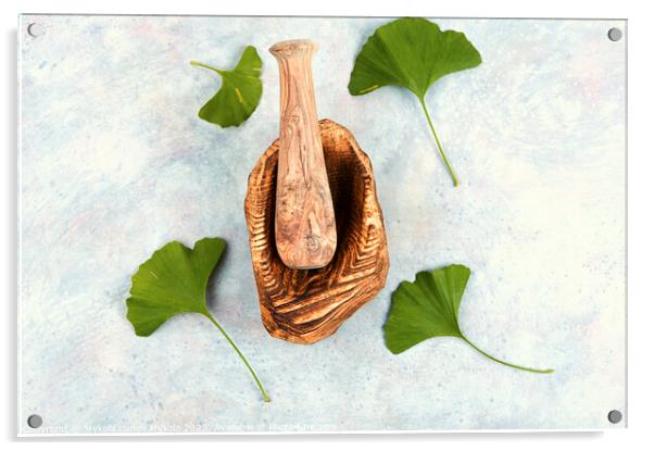 Ginkgo biloba leaves, medicines. Acrylic by Mykola Lunov Mykola