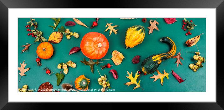 Autumn herbarium and pumpkins Framed Mounted Print by Mykola Lunov Mykola