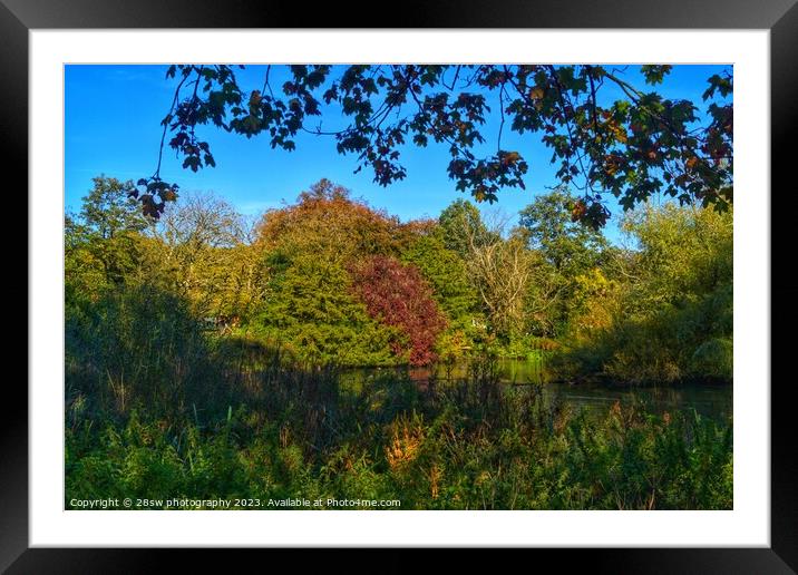 Autumns Reflections. Framed Mounted Print by 28sw photography