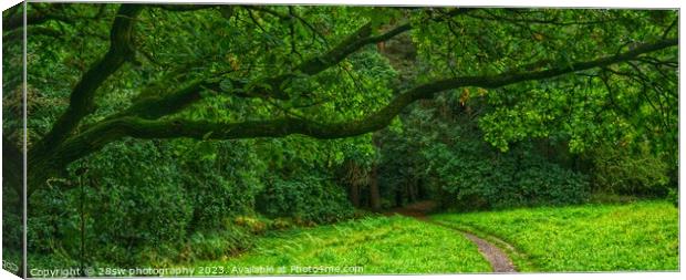 Gateway of Green - (Panorama.) Canvas Print by 28sw photography