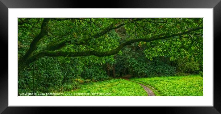 Gateway of Green - (Panorama.) Framed Mounted Print by 28sw photography