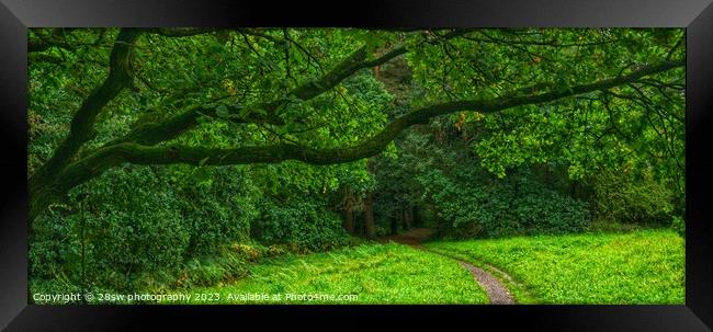 Gateway of Green - (Panorama.) Framed Print by 28sw photography