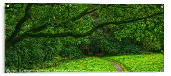 Gateway of Green - (Panorama.) Acrylic by 28sw photography