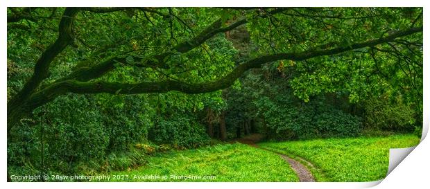 Gateway of Green - (Panorama.) Print by 28sw photography