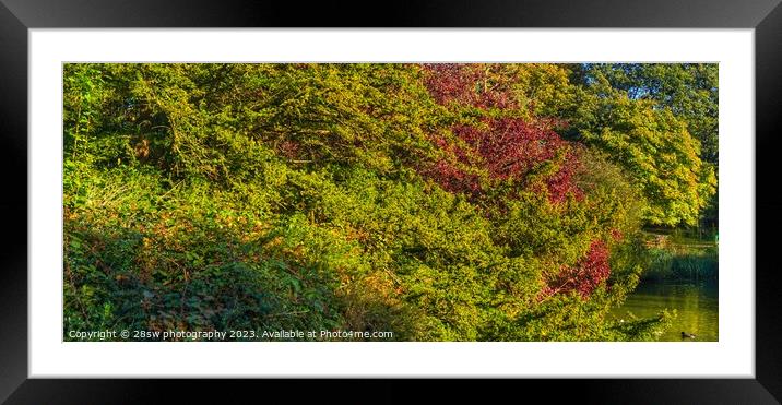 The Autumn Panorama. Framed Mounted Print by 28sw photography