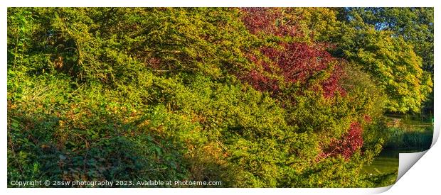 The Autumn Panorama. Print by 28sw photography